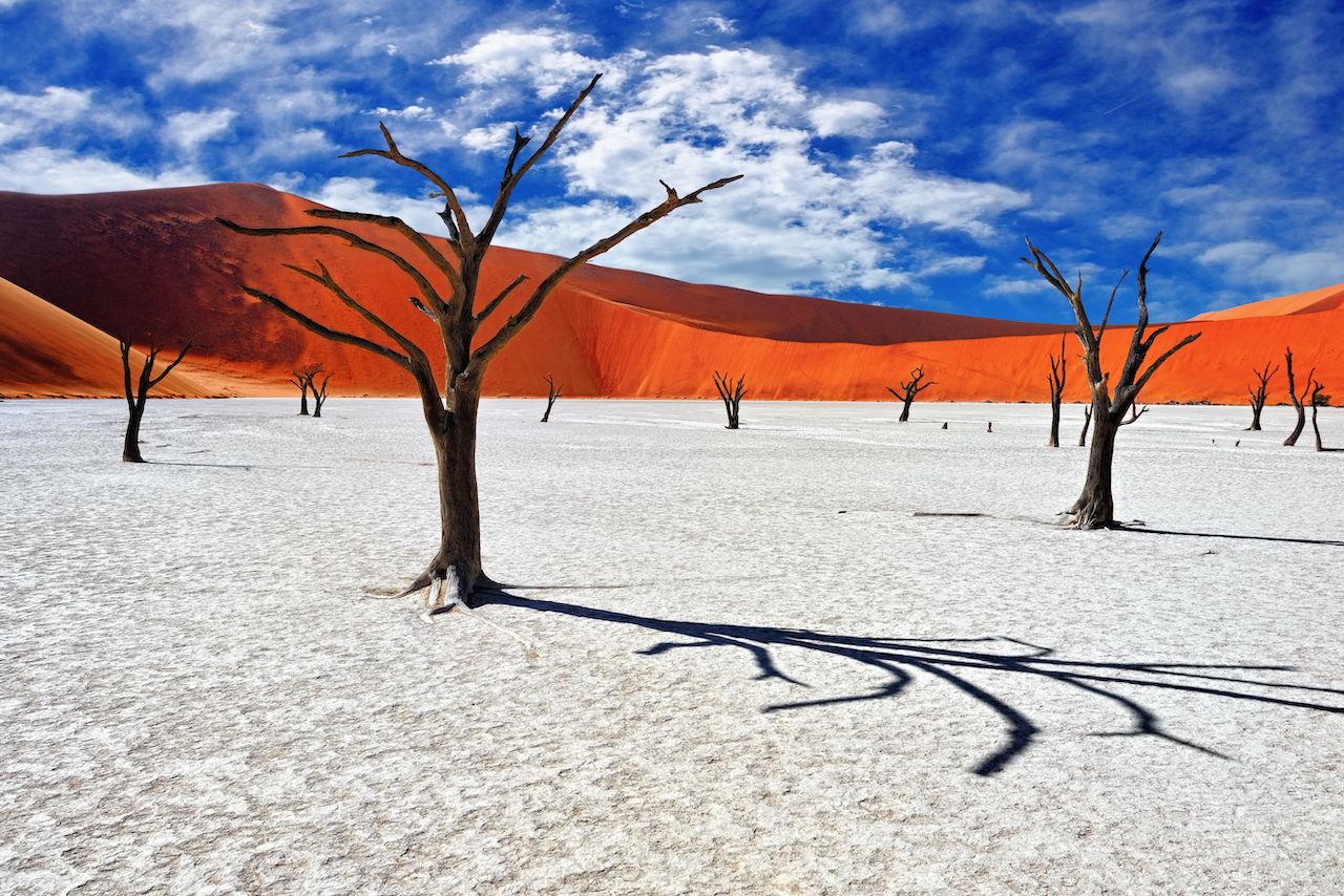 Parallel World Travel: Visiting Places That Feel Like a Different Planet